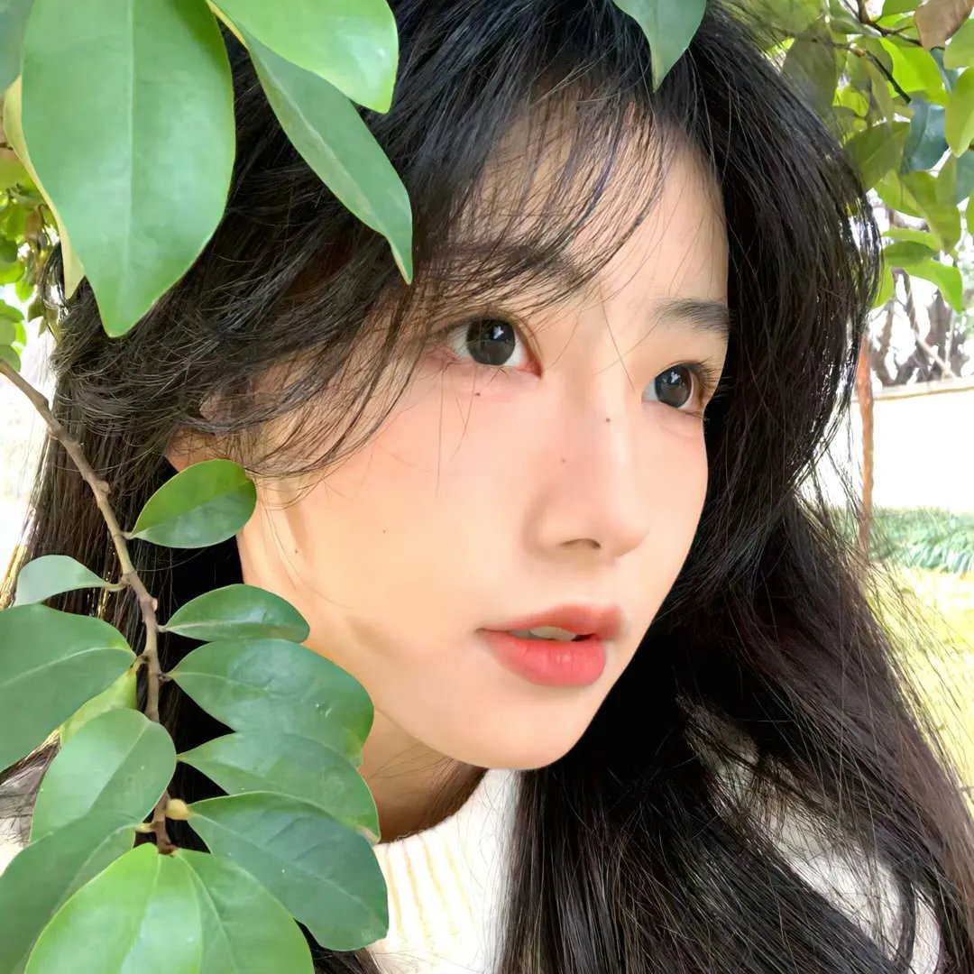 生活之河